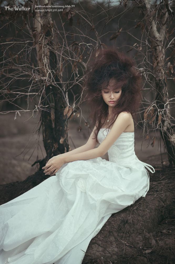 The Walker Photography