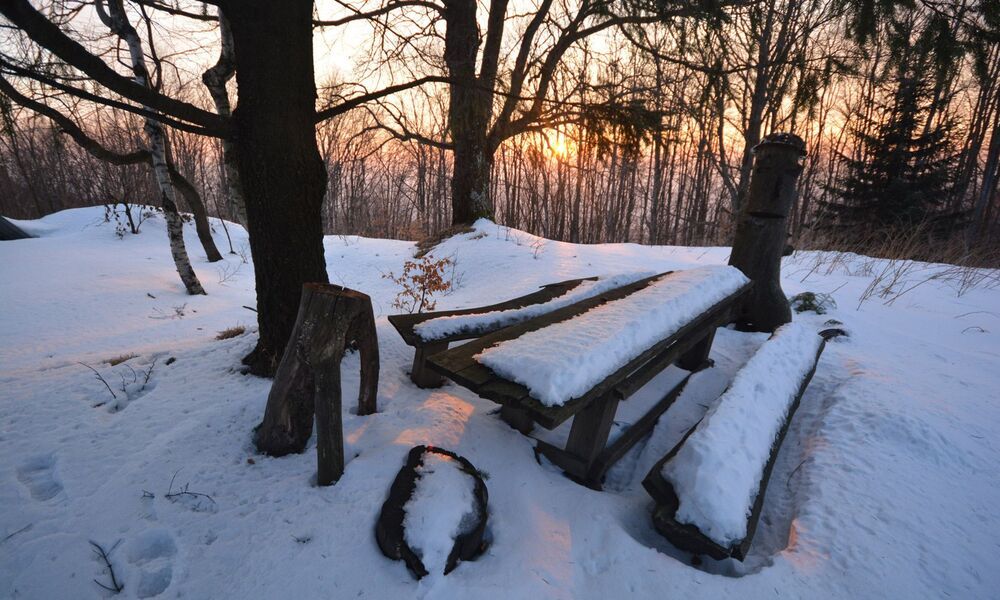 Вечер туриста в Закарпатье