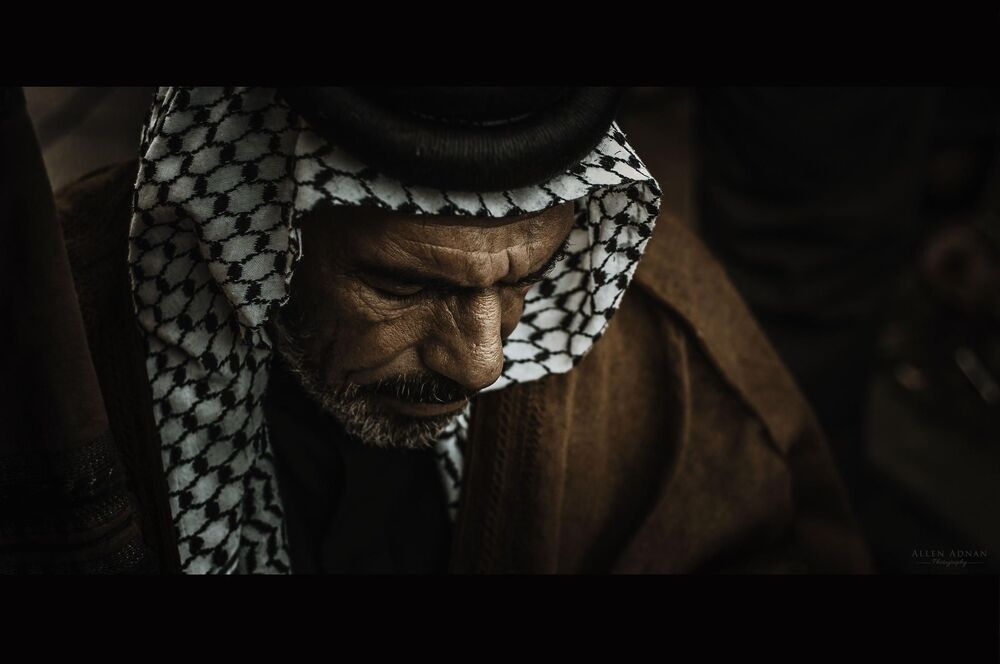 The Sheikh