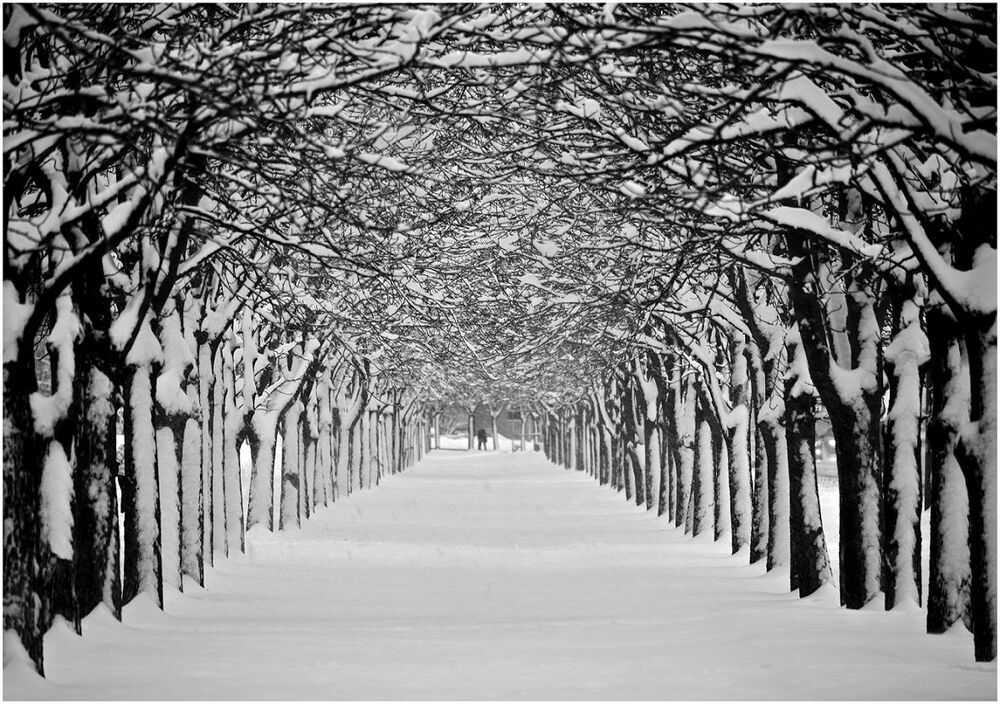Empty Park