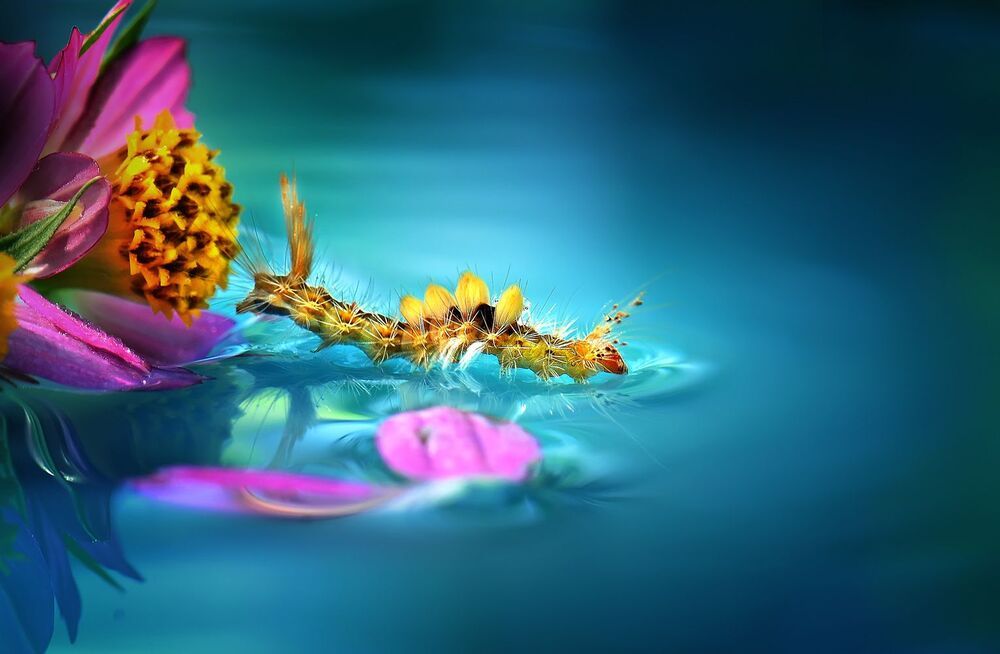 Let's swim