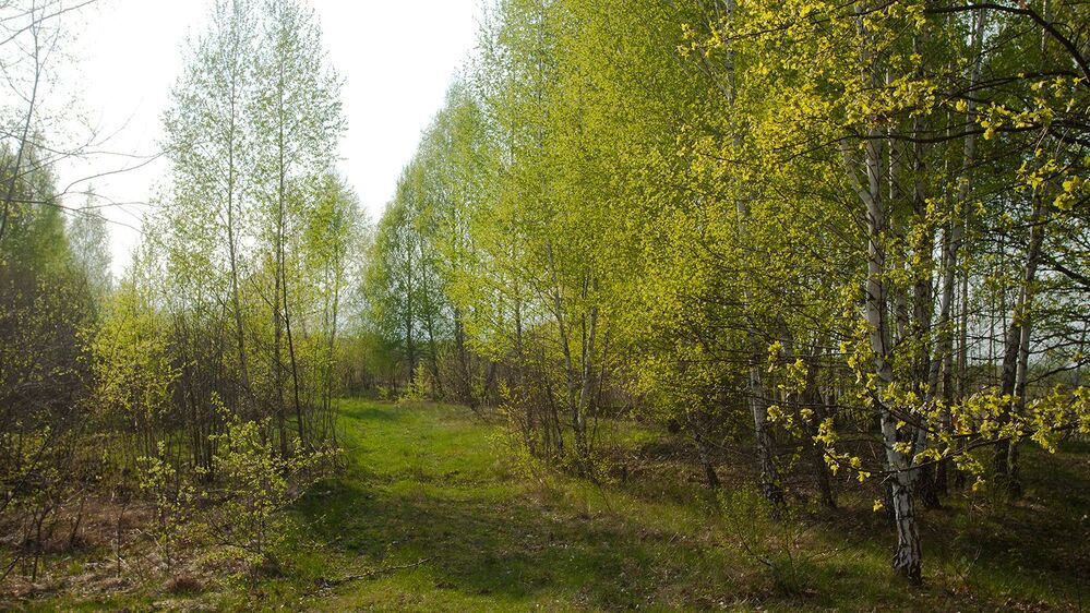 The colors of spring
