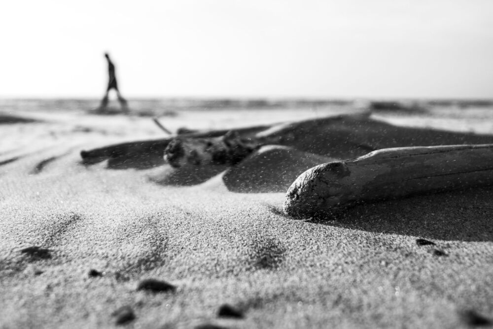 Photo 688613