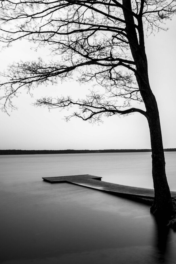 Photo 688616