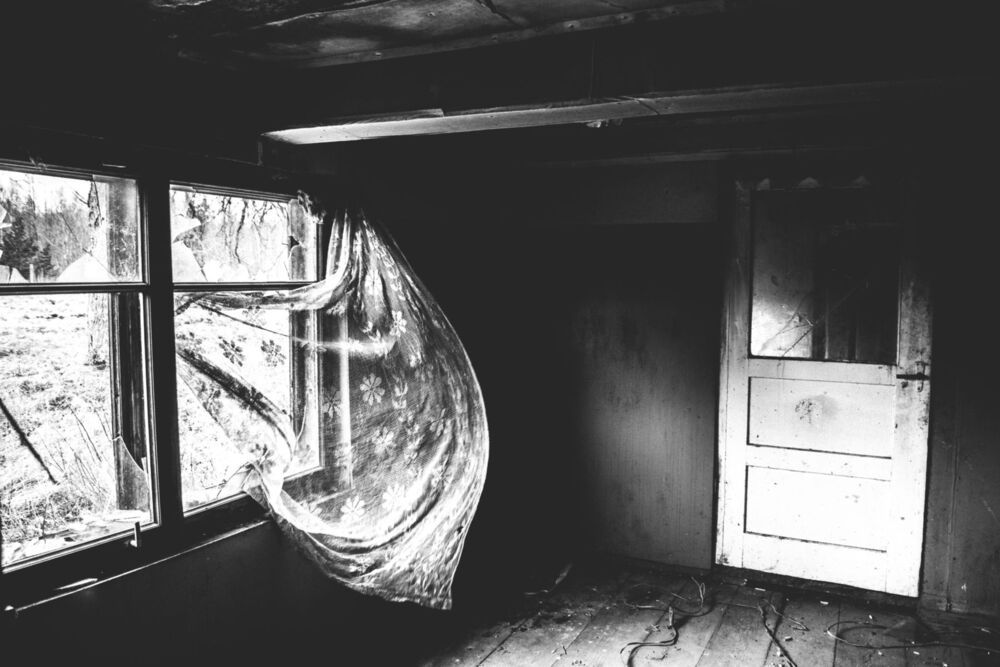Photo 688617