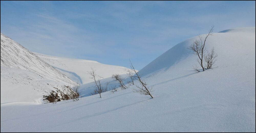 Весенняя прогулка в горы
