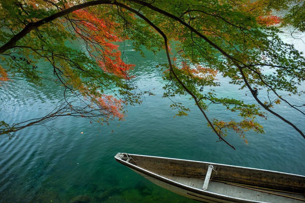 Colorful world