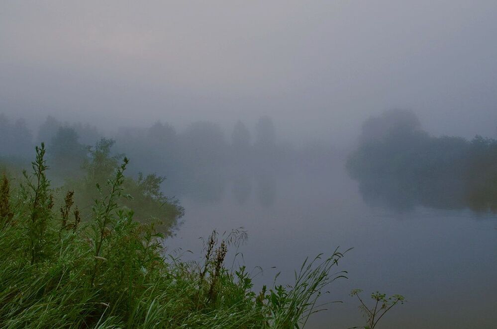 Photo 69230