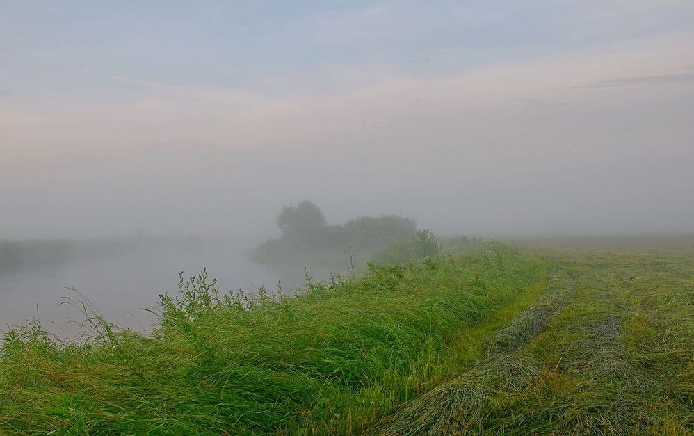 Photo 69231