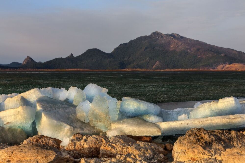 Выползли погреться