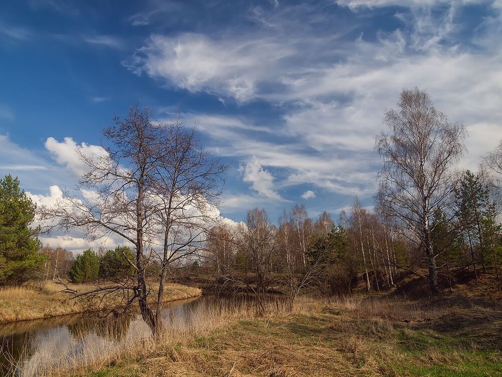 Весна на Нерли