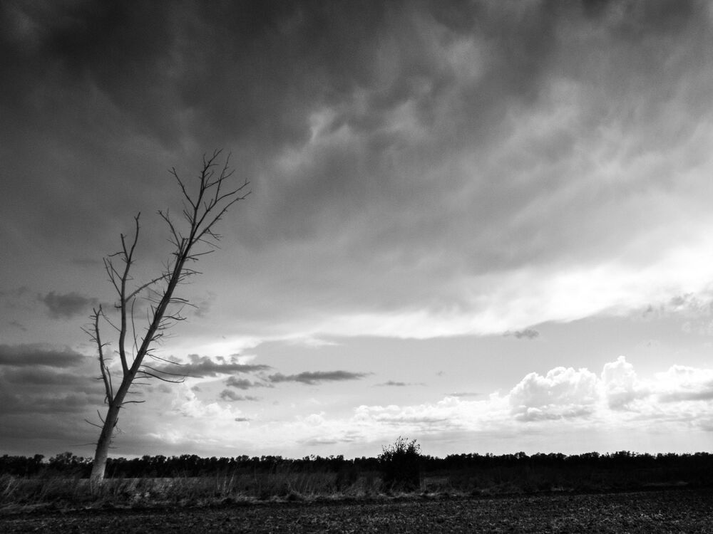 under the grey sky part 2