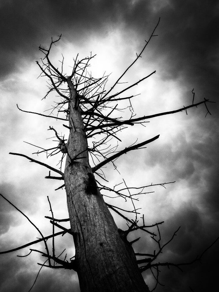 under the grey sky