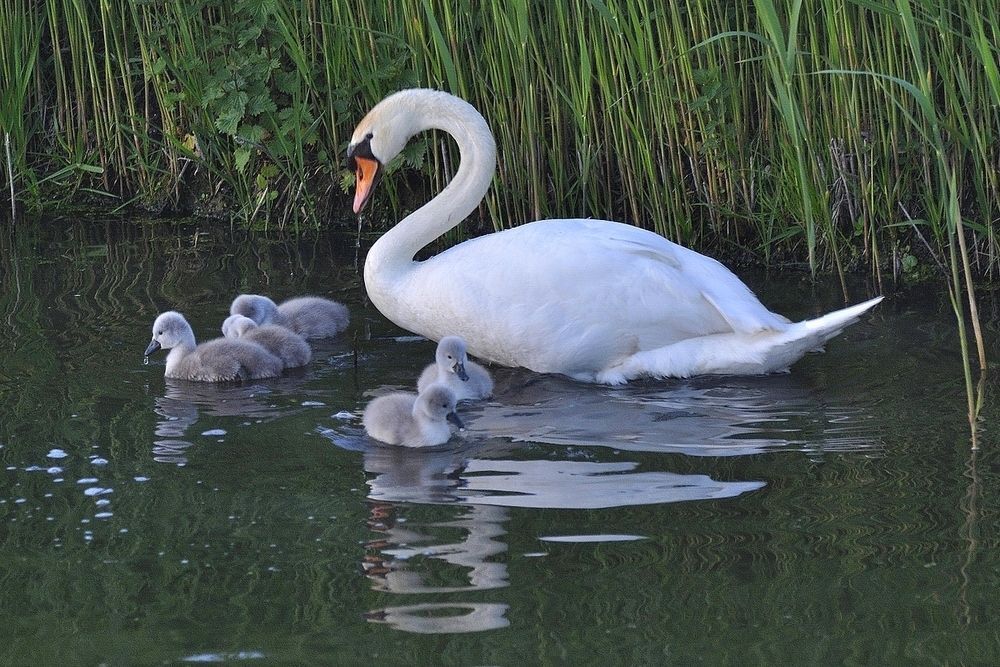 A happy family.