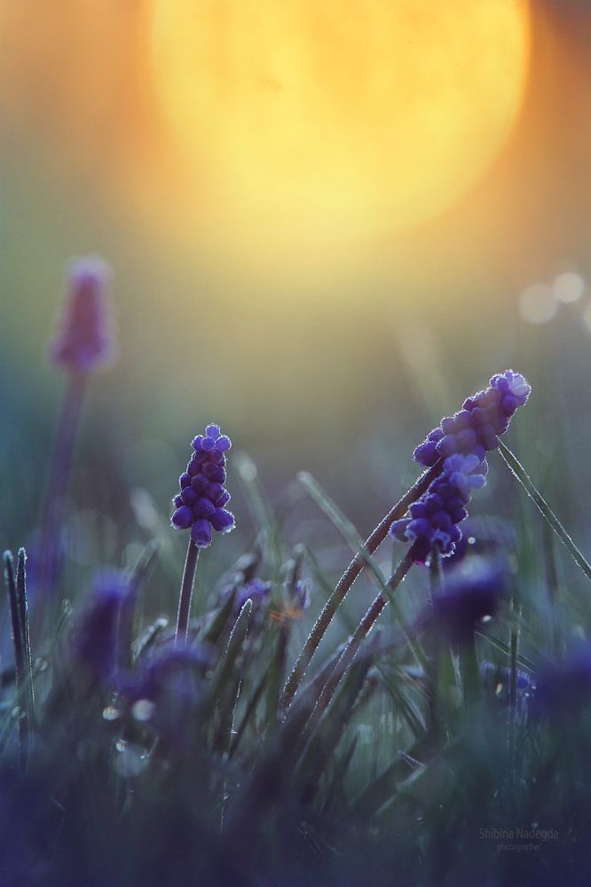 Рассвет.....