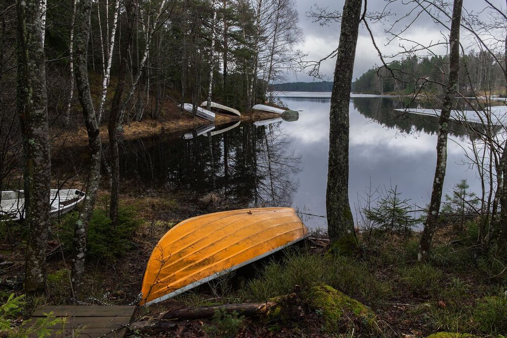 The yelow boat