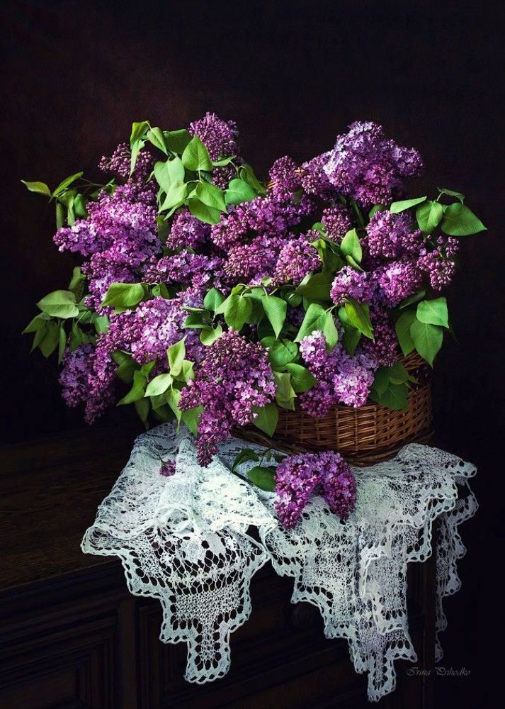 Корзина сирени