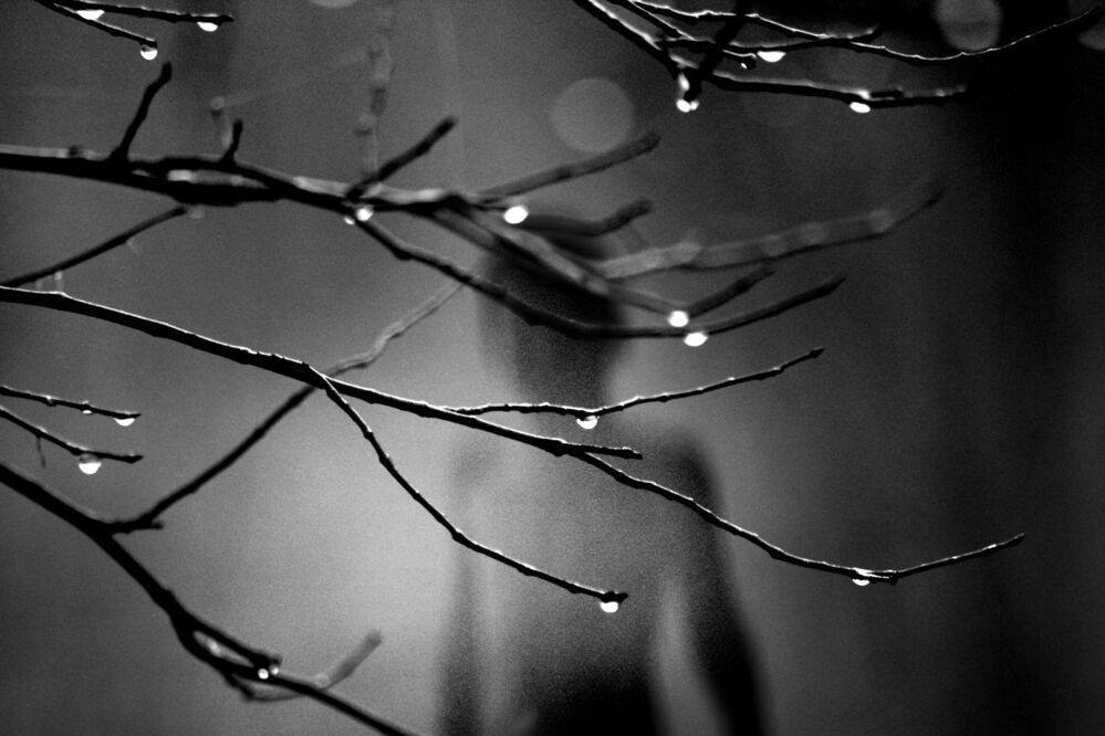 Photo 695060
