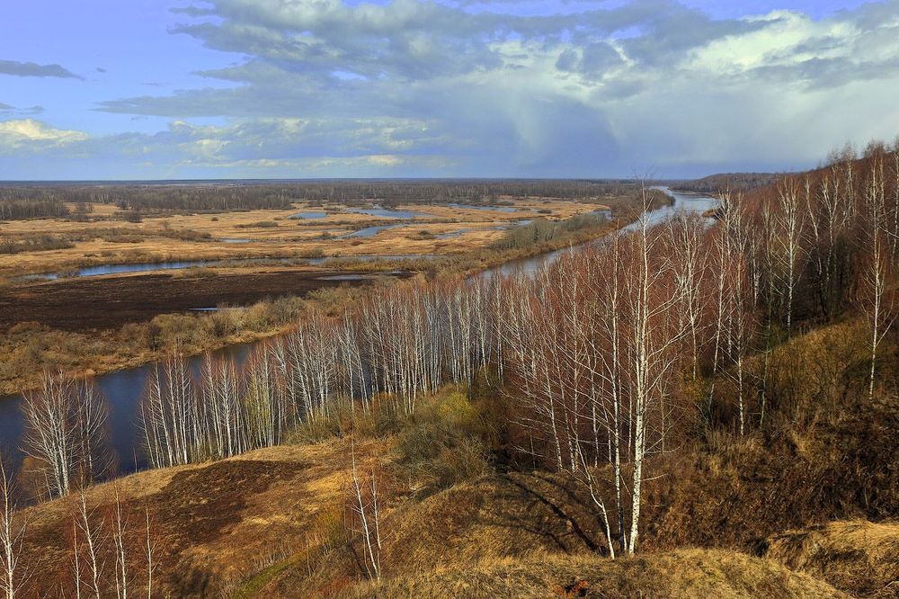 Весна цвета осени