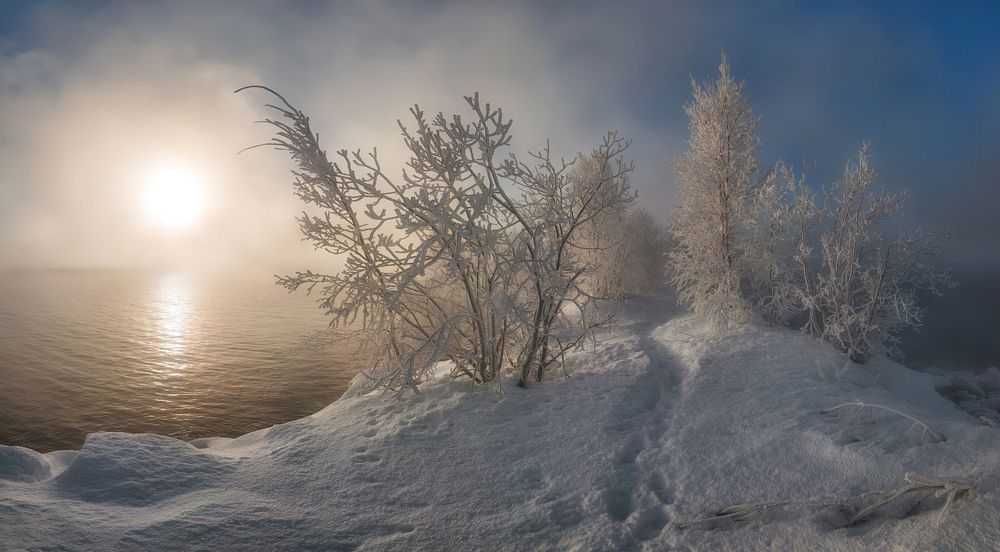 В серебре.