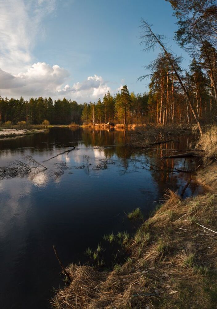 Вечерняя Пра
