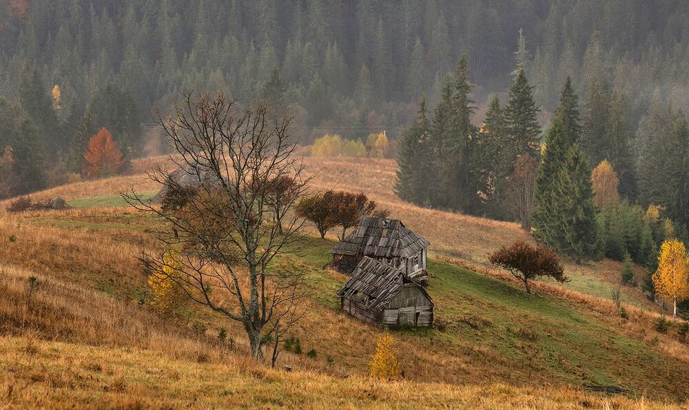 Сельская жизнь карпатских сел