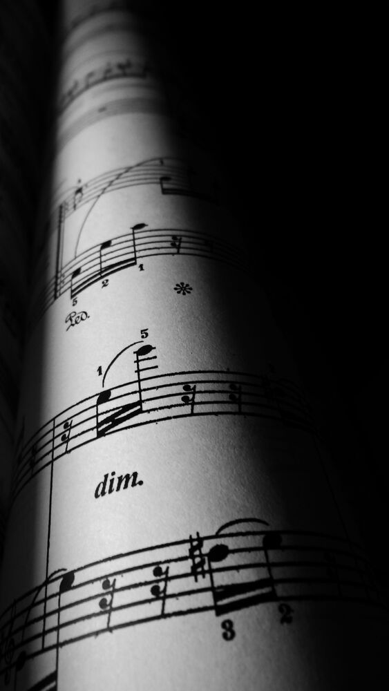 In the silence between