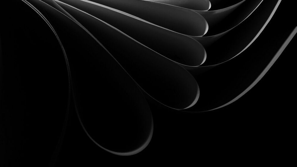 The song of the curved line
