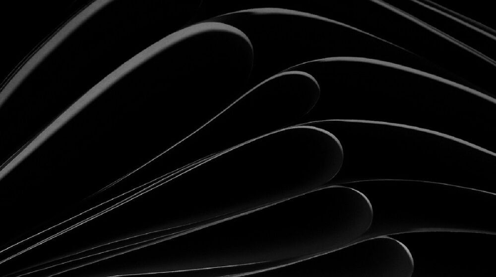 The song of the curved line