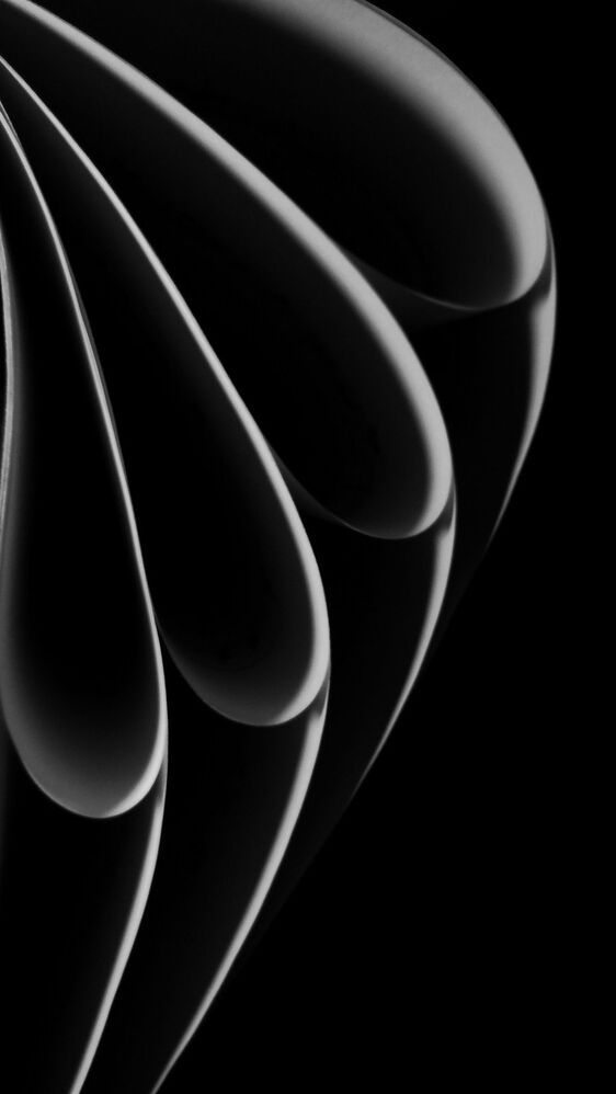 The song of the curved line