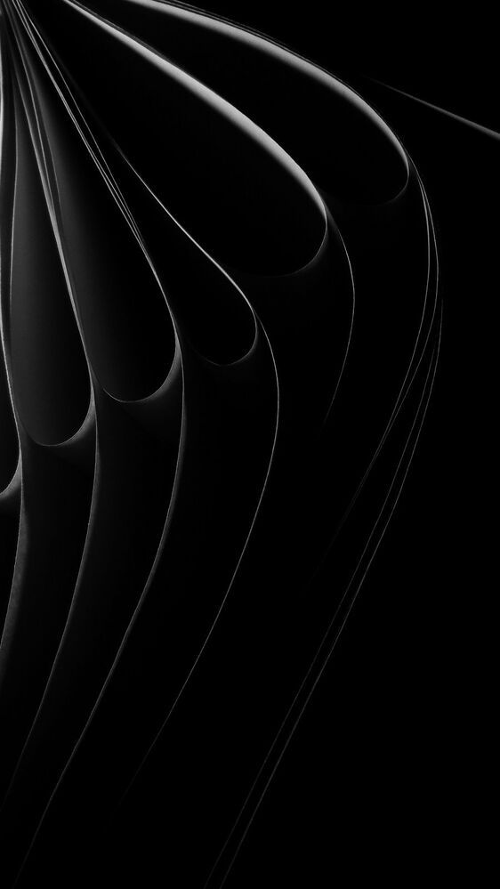 The song of the curved line