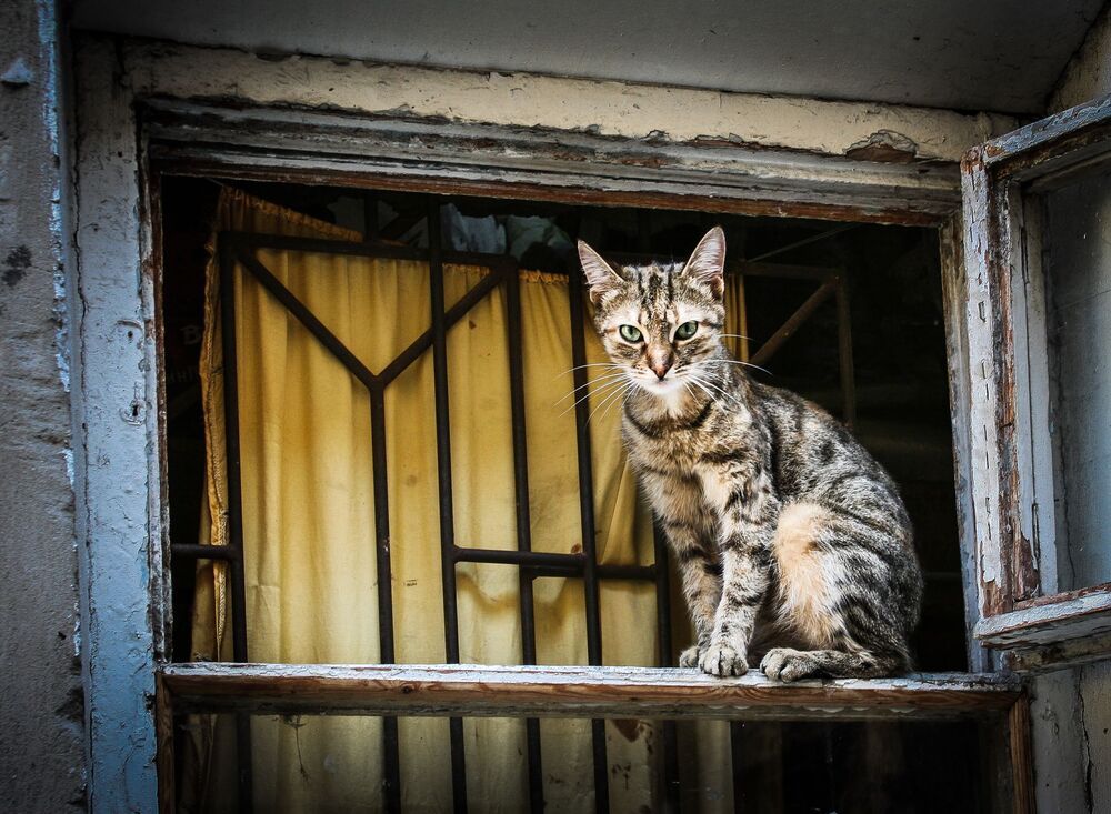 Добро пожаловать в Одессу