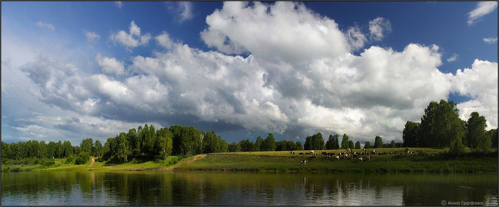 Тучки, коровки, луга, вообщем летнее июльское