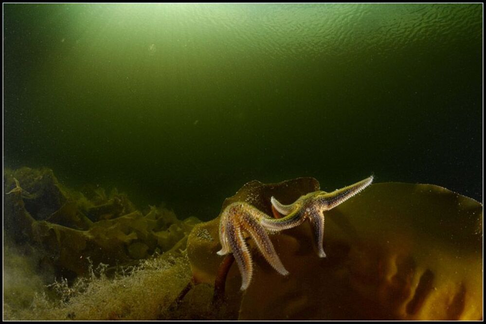 На море штиль