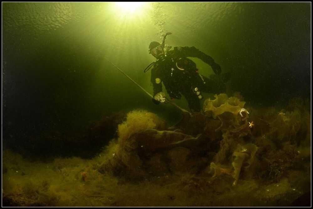 На дне морском
 (Фотограф и модель в одном лице)