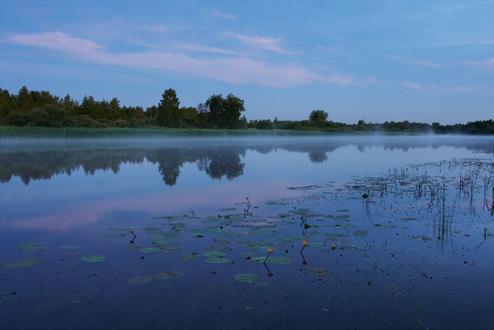 Сумерки
