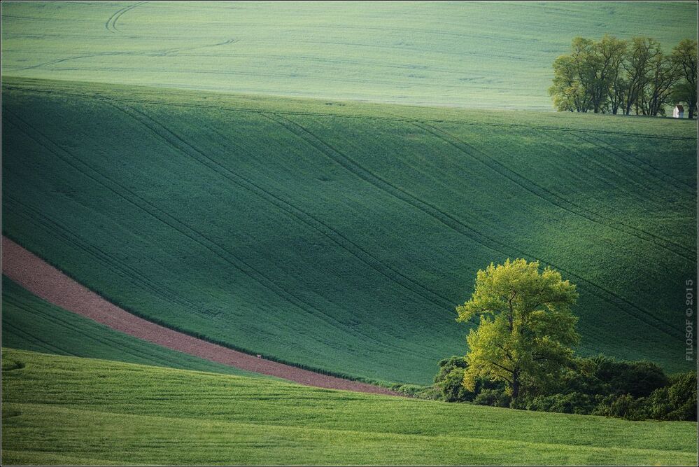 Весенняя Моравия