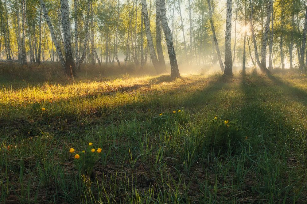Свежие нотки весны