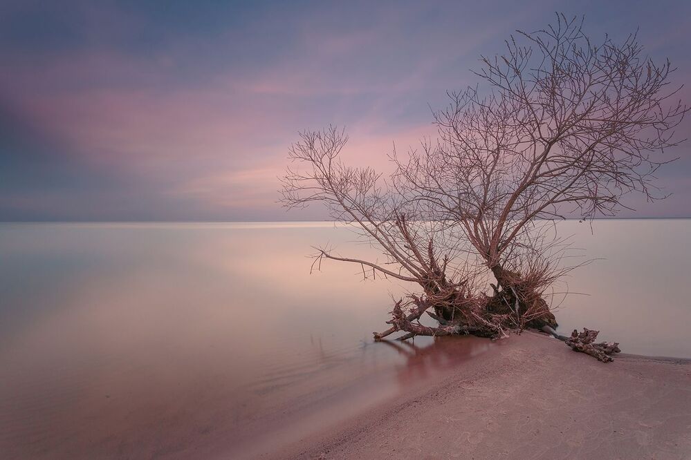 equinox