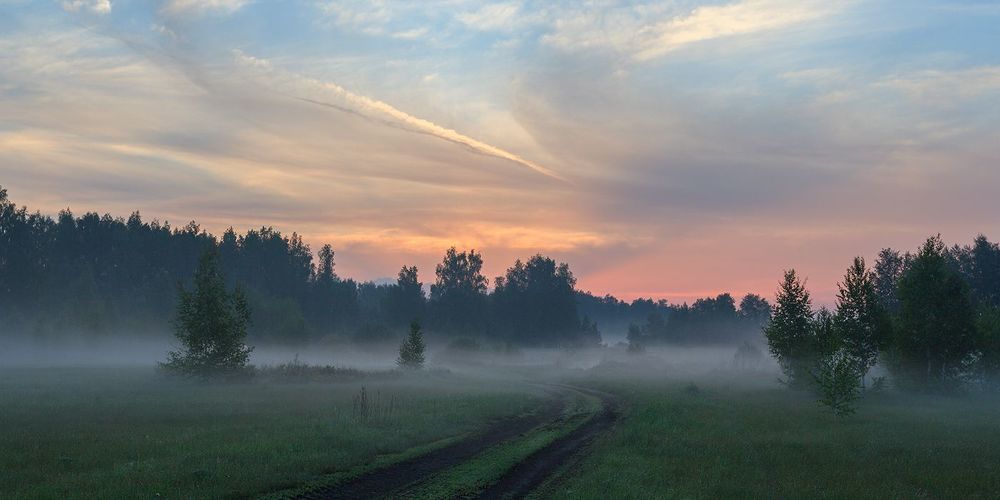 Прощальное утро весны