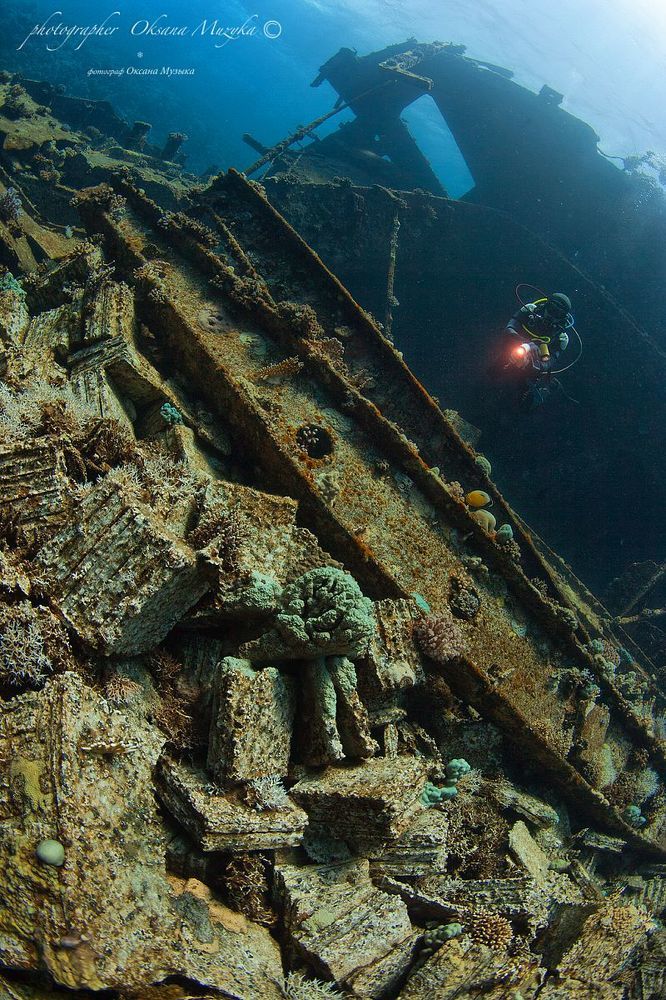 Рэки Красного Моря