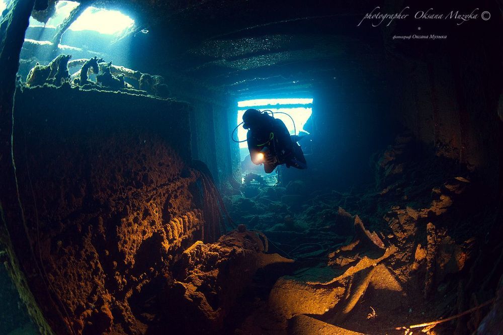 Рэки Красного Моря