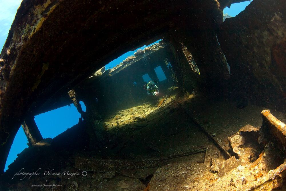 Рэки Красного Моря