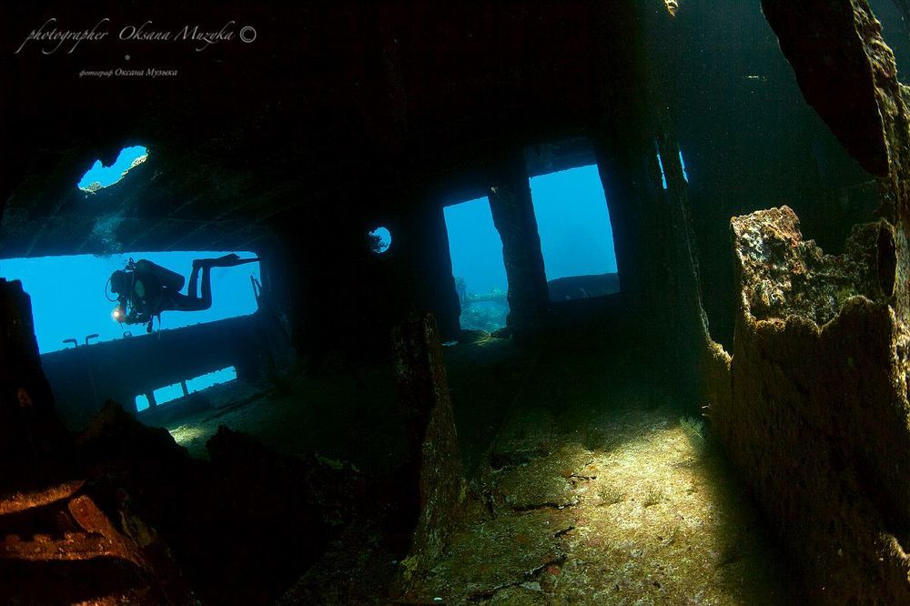Рэки Красного Моря