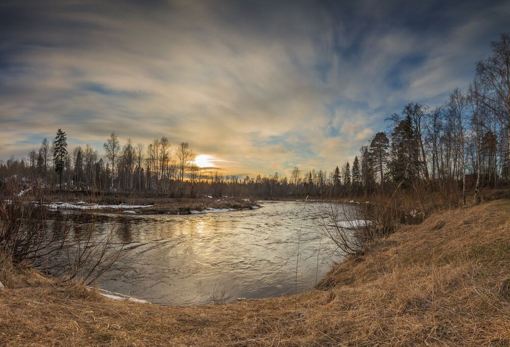 Photo 703993