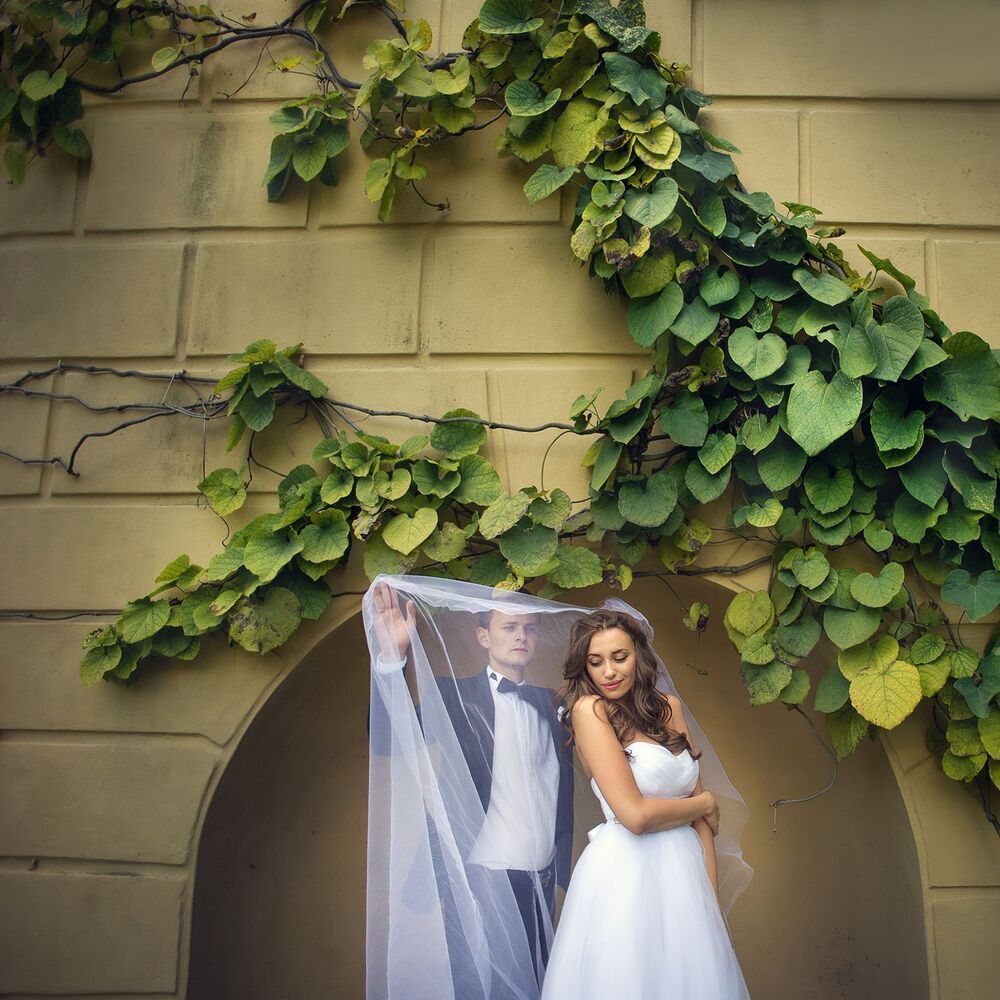 Wedding in Lancut, Poland