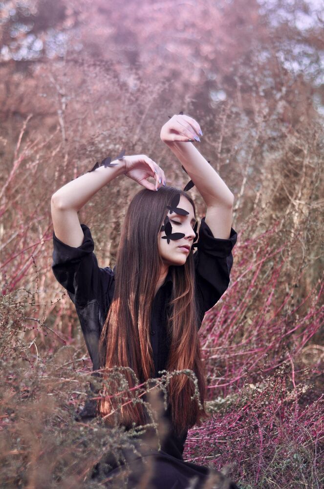 Butterfly