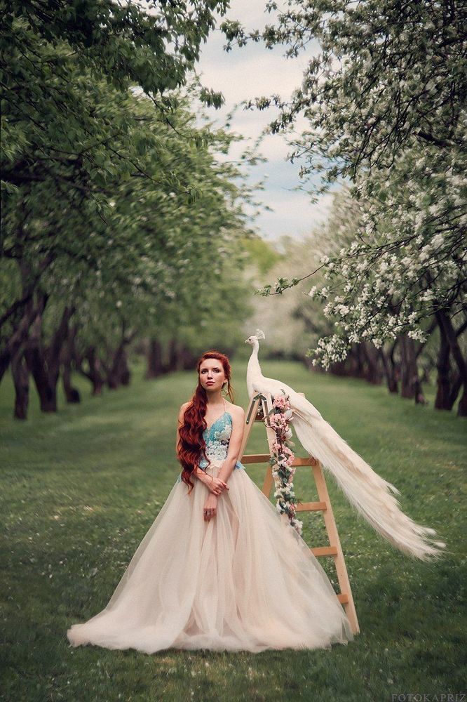 Птица дивная