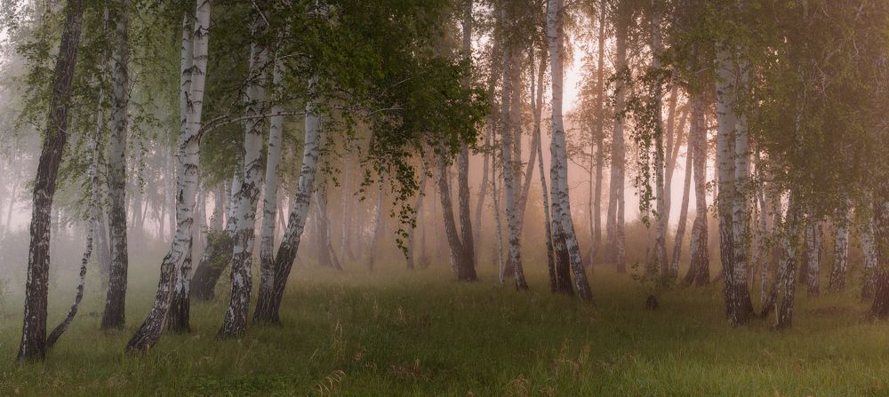 Окунуться в лето