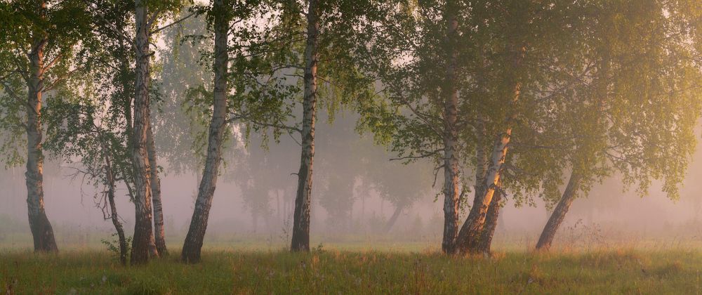 Окунуться в лето